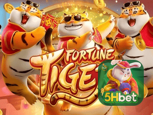 Guia install APK 5HBET BR