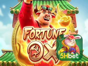 5HBET login — painel de entrada no app oficial