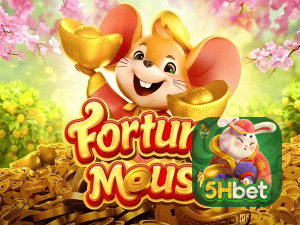 5HBET login — configurações de segurança e proteção de conta